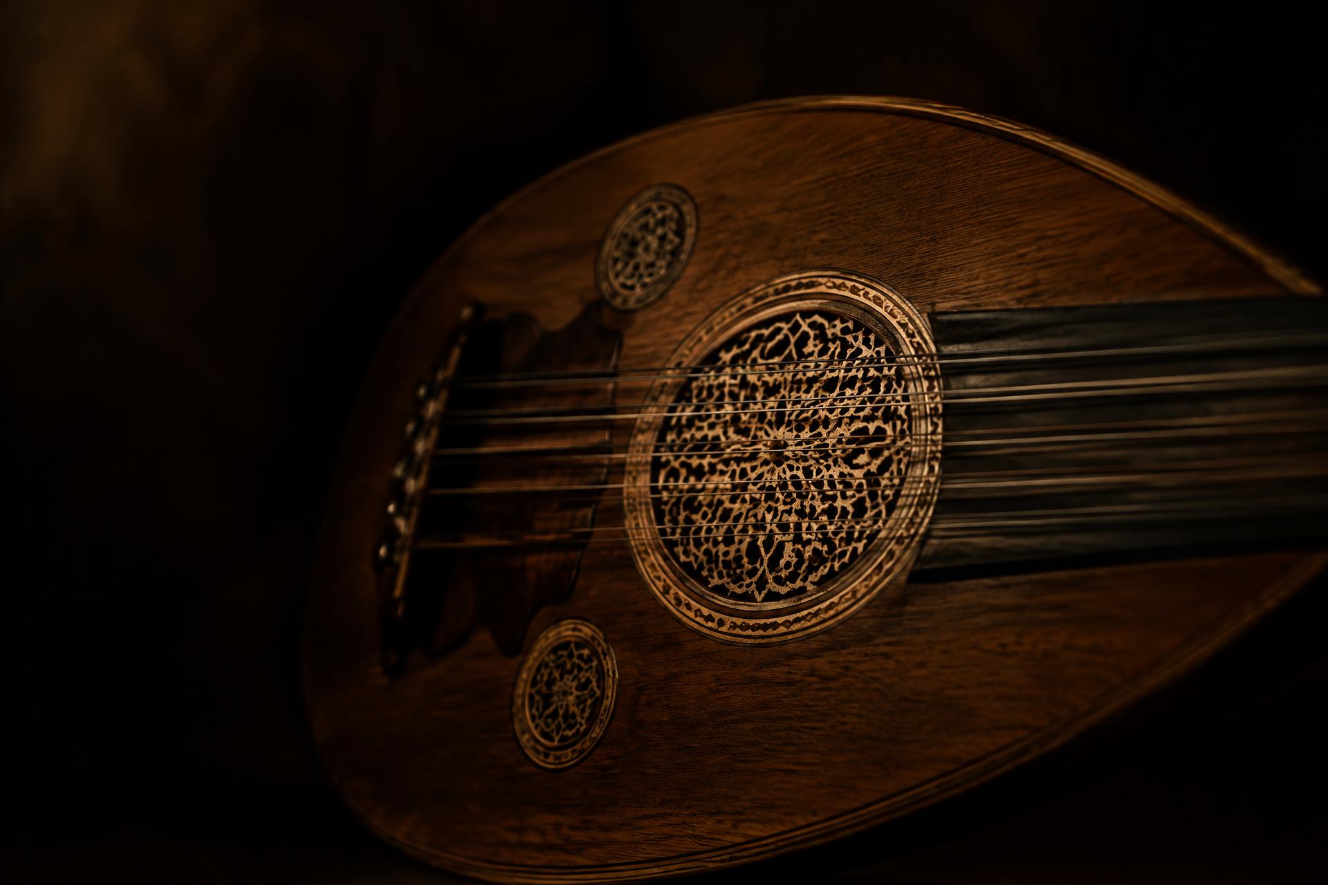 Intricate rosette and strings of a traditional oud